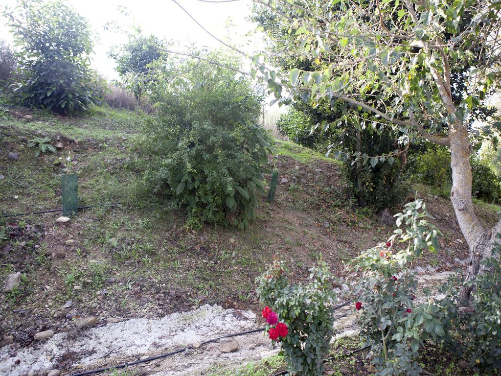 Casa Rural Vega El Dorado San Pablo Bagian luar foto